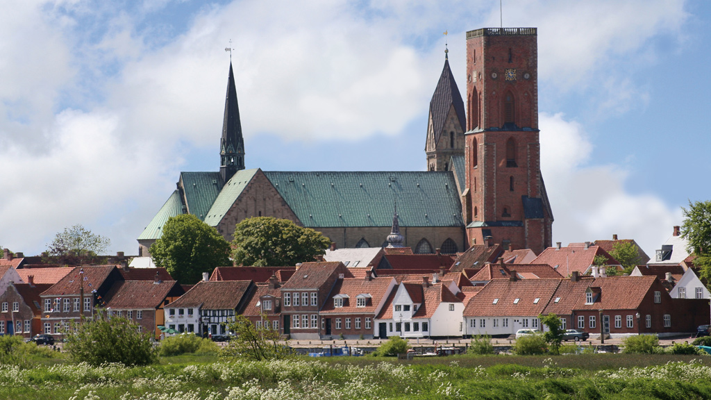 Billede af Ribe Domkirk, set fra hovedengnen.